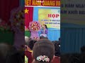 Nghe tin Xuân đang về #shorts