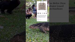 Lumphini Park Bangkok สวนลุมพินี