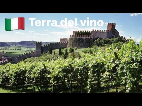 Video: 9 Delle Migliori Città Del Mondo Per Gli Amanti Del Vino