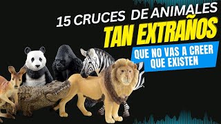 15 Cruces De Animales Tan Extraños Que No Vas A Creer Que Realmente Existen