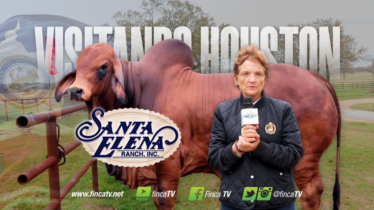 FINCA TV - De vuelta! A Santa Elena Ranch junto a Josefina Lecuna, Madisonville, Texas 2025