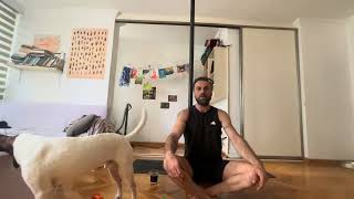 Y.y. Yeğenlerime Yoga