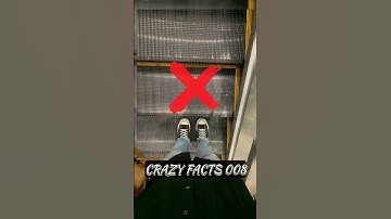 Why Escalator Steps Have Grooves 😲 🤔 ?? || #shorts #ytshorts