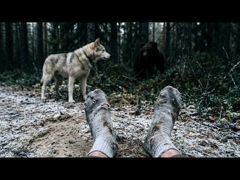 We are leaving through the taiga on foot. Zhaima found a bear. They ate berries for four days .