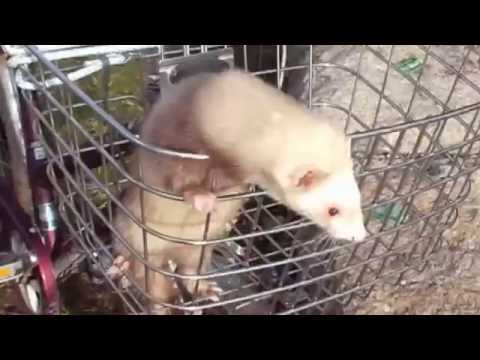 香椎浜で遊んでます