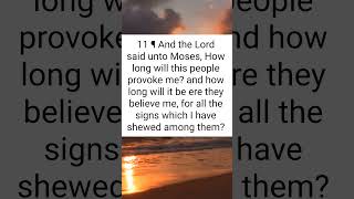 Daily Scripture #jesus #love