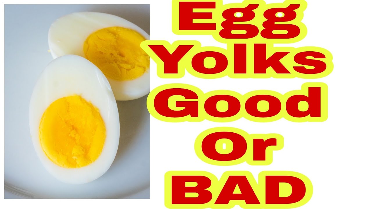 EGG WHITE VS EGG YOLK Which is GOOD Cholesterol good or bad