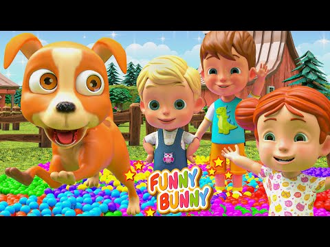 Видео: Bingo Dog Song + More Nursery Rhymes & Kids Songs - Funny Bunny Compilation
