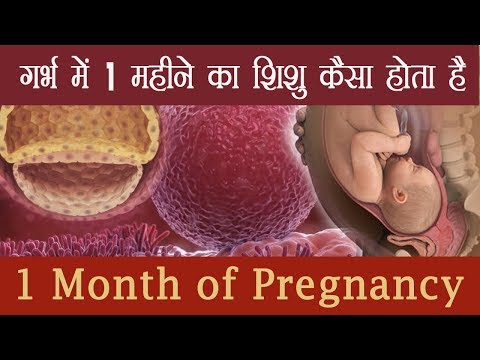 वीडियो: गर्भाधान के 1 महीने बाद बच्चा कैसा दिखता है?
