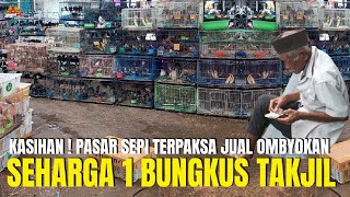 KASIHAN SI PAKDE ! KONDISI PASAR LAGI SEPI TERPAKSA JUAL BURUNG OMBYOKAN SEHARGA TAKJIL