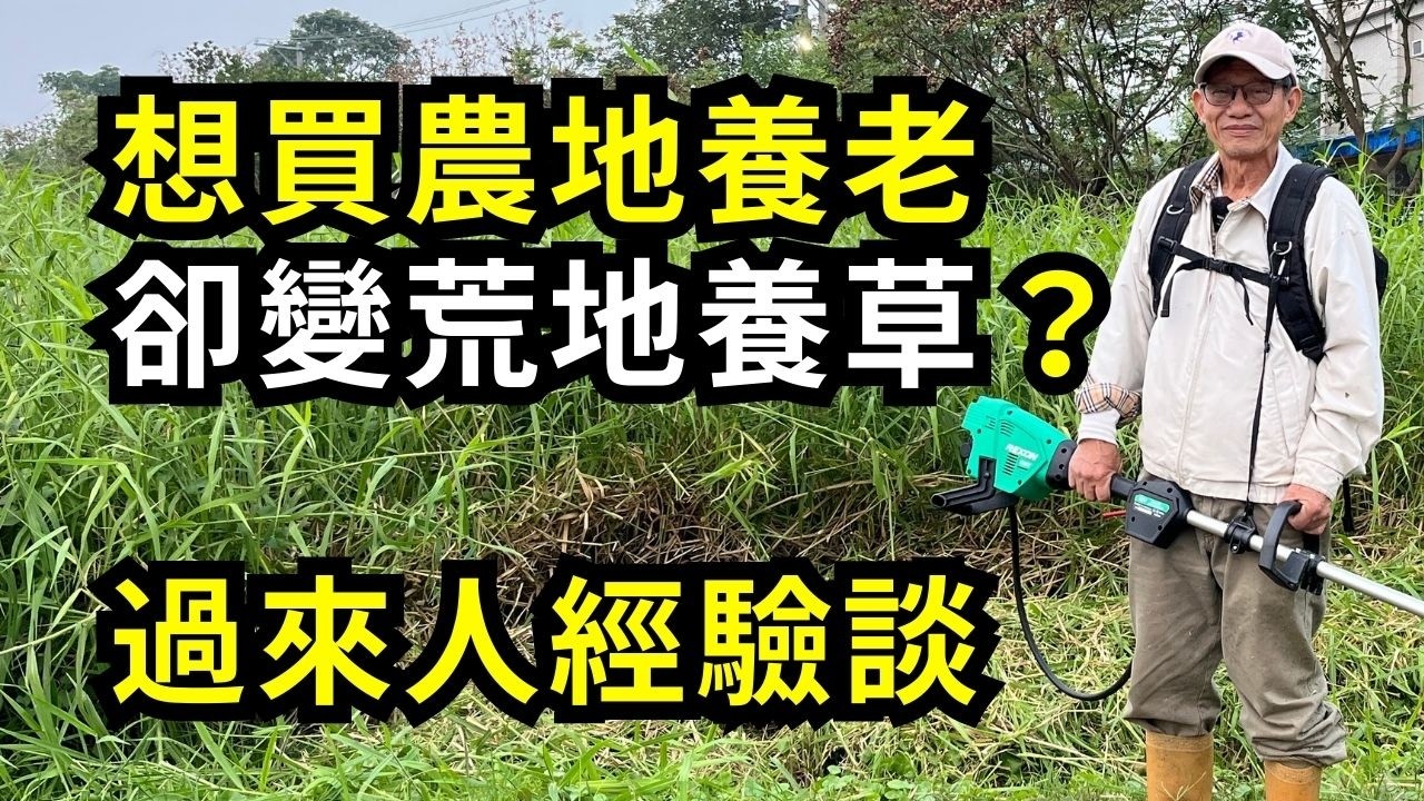 哪些事讓你後悔買農地?過來人如何克服?避免衝動退休買地養老，田園夢變噩夢，規劃清理才是考驗！| 阿星種植
