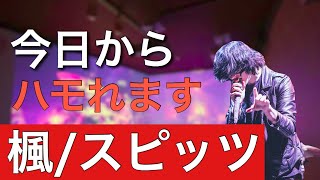 ハモチューブ न प ल Vlip Lv