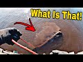 Magnet Fishing GONE CRAZY - You Won't Believe What I Found!!!