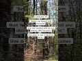 Bible verses. #bibleverseoftheday #jesuschrist #peace #wisdom