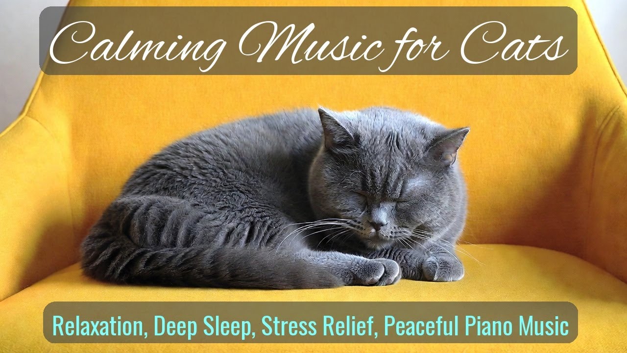 Calming Music for Cats - Relaxation, Deep Sleep, Stress Relief, Peaceful Piano Music | Season 57