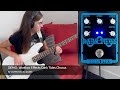 Idiotbox Effects Dark Tides Chorus BASS DEMO