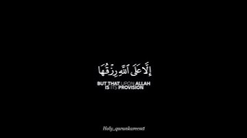 القارئ الشيخ احمد العجمي #سورةالهود #سعد_الغامدي #سعود_الشريم #عبدالله_الموسى #ماهرالمعيقلي