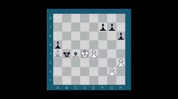 Endgame Series (Teodoro vs Waitzkin )-Bishops and King