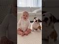 赤ちゃんとわんこ🐶　dog and Baby #japan #cute #ai #baby #kawaii #かわいい　#犬　#dog #残念そうな顔