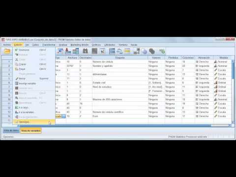 Vídeo: Com puc crear una variable a SPSS?