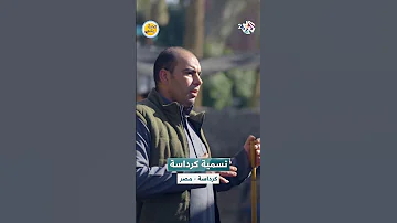 أصل تسمية كرداسة تعود لزمن الانتداب الإنكليزي تعرفوا إليها 