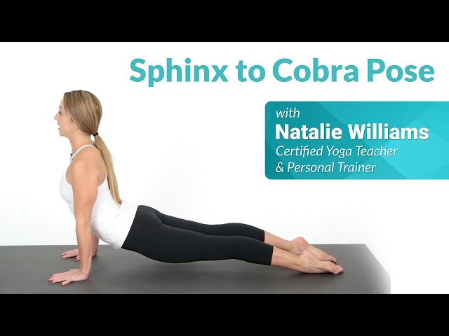 Sphinx Pose - Ekhart Yoga