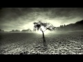 Miniature de la vidéo de la chanson Les Préludes