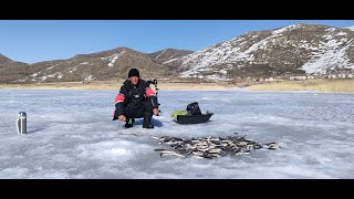 ВОТ ЭТО КЛЁВ! В ЭТОЙ ЛУНКЕ ТОННЫ РЫБЫ. РЫБАЛКА ВЕСНОЙ 2025 НА ДСР