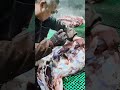 Fast Meat Cutting 🔥Satisfying Cutting 🥩Butcher Skills 😱Speed Cutting 🔥Perfect Meat Cut 🥩