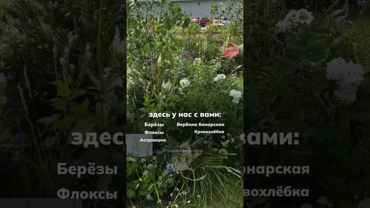 А с какими растениями у вас ассоциируется русский сад?