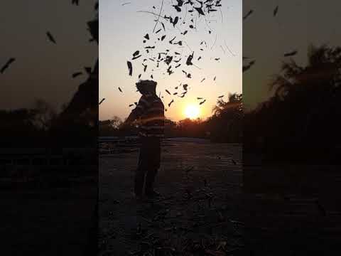 big hard sun