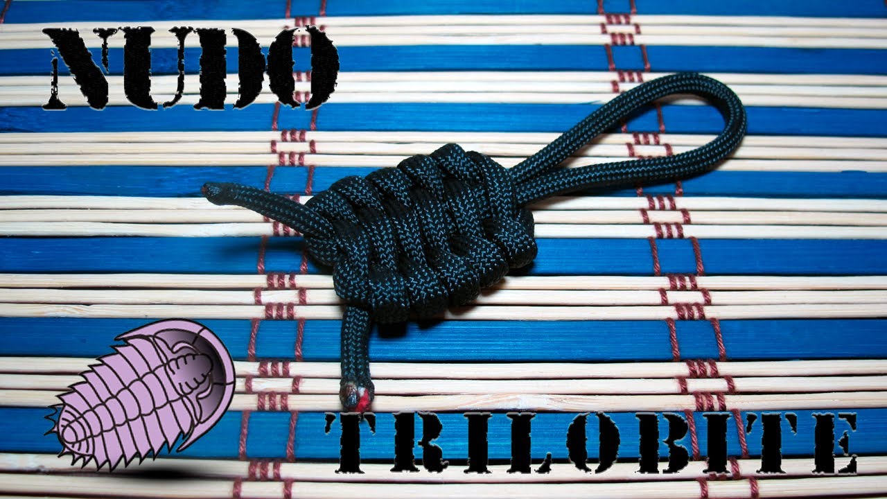 PATIKIL Llavero De Paracaídas, Cordón Trenzado, Clip Para Llaves, Anillos D, Cinturón De Cuero, Llaveros De Supervivencia Para Llaves, Hombres