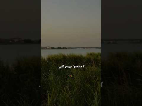 لا مسحتوا جروح كلبي سيد فاقد الموسوي حالات واتساب حسينيه قصيره لايك اشتراك