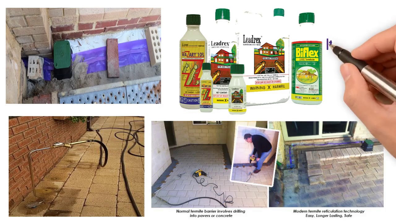 TERMITE RETICULATION SYSTEM - YouTube