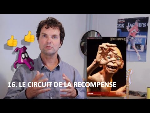 16. LE CIRCUIT DE LA RECOMPENSE - YouTube