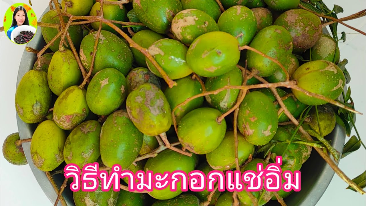 มะกอกแช่อิ่มวิธีทํามะกอกแช่อิ่มทำง่ายอร่อยสูตรและวิธีทำมะกอกแช่อิ่มทำกินทำขายอร่อย