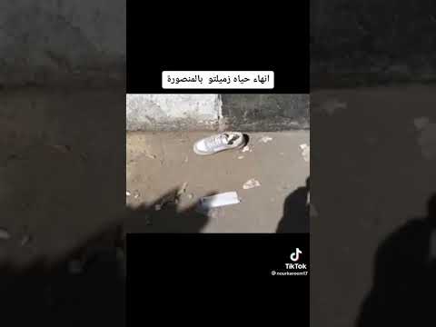 مكان ذبح طالب لطالبه بجامعه المنصوره لرفضها الزواج منه