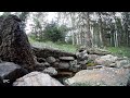 Live Pond Cam | Relaxing, bird nature wildlife 9k feet in the Colorado Rocky Mountains