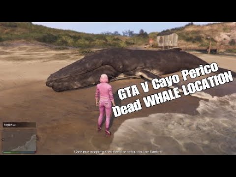GTA V Cayo Perico dead whale location!