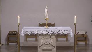 Sacred Heart Mill Hill -   Holy Mass   10am  Wednesday 22nd May  2024