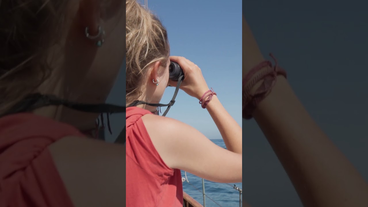 Volunteering in Italy with GoEco 🇮🇹 | A Life-Changing Experience! 