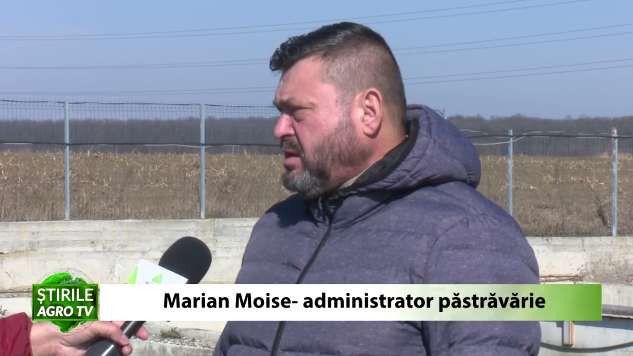 VIDEO Panourile fotovoltaice, cea mai bună alegere pentru fermieri 1 VIDEO Panourile fotovoltaice, cea mai bună alegere pentru fermieri YouTube player