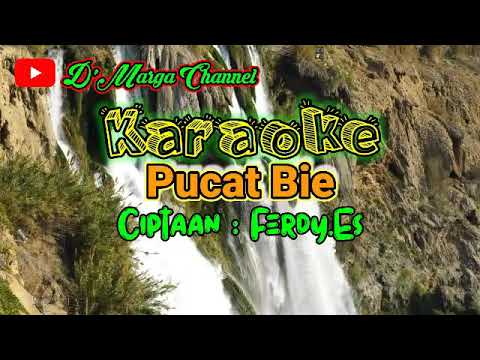 Karaoke + lirik - Lagu Dayak Tanpa Vocal Pucat Bie Cip. Ferdy.ES D'Marga Channel