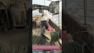 Drift Gillnet: Overnight Catch &amp; Safety #FisheryTips #InshoreFishing #MarineSafety