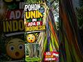GAK NYANGKA! POHON WARNA WARNI INI ADA DI INDONESIA#shorts #faktaunik #keajaibanalam #papua