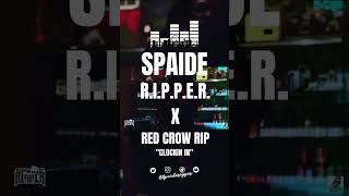 Spaide Ripper gets you MOTIVATED! #shorts #trending #trendingshorts #viral #live #music #explore