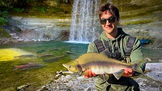 48 Hours Salmon Fishing Ontario's Manitoulin Islands - Pink Salmon, Catch & Cook