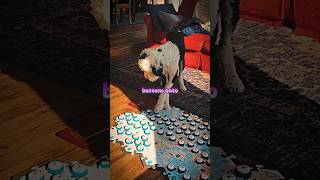 This Dog Became Self Aware