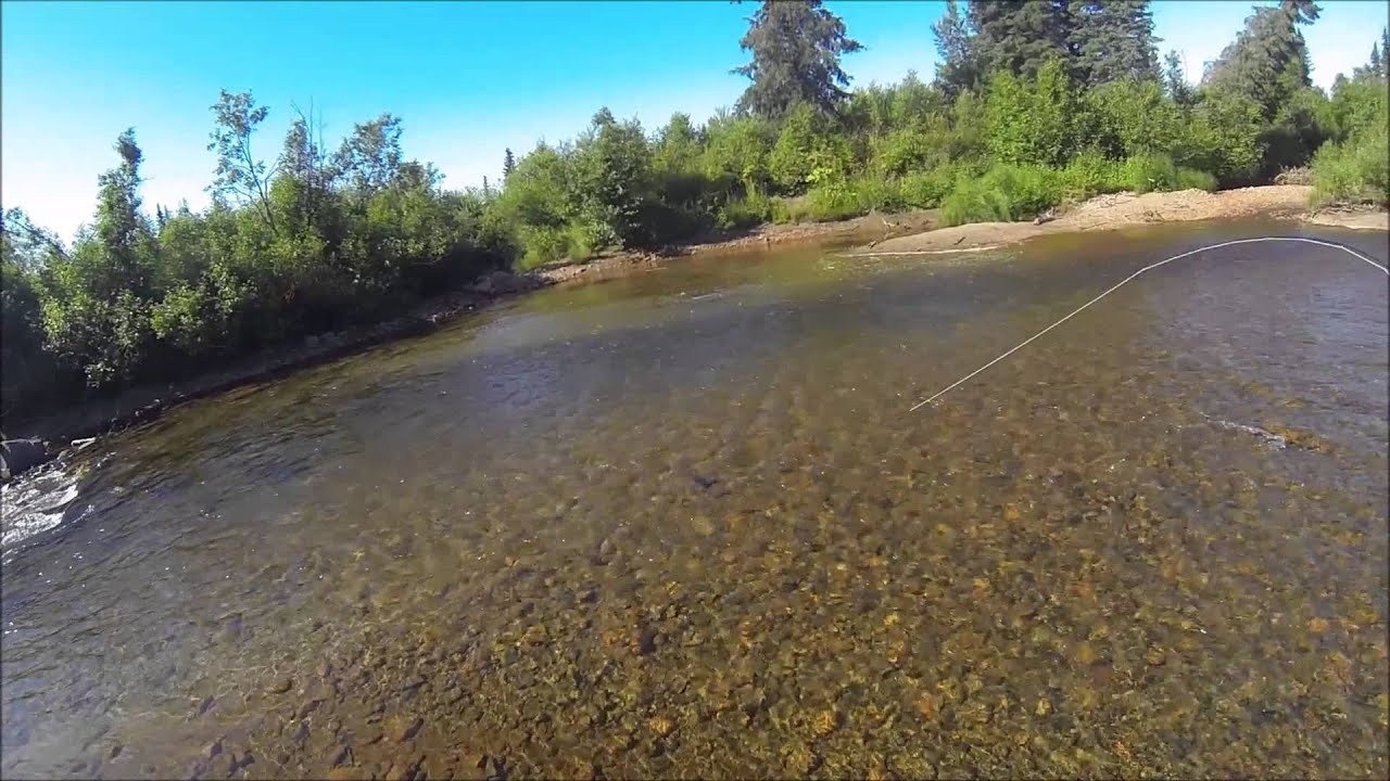 Alaska floattrip op de Talachulitna 2015