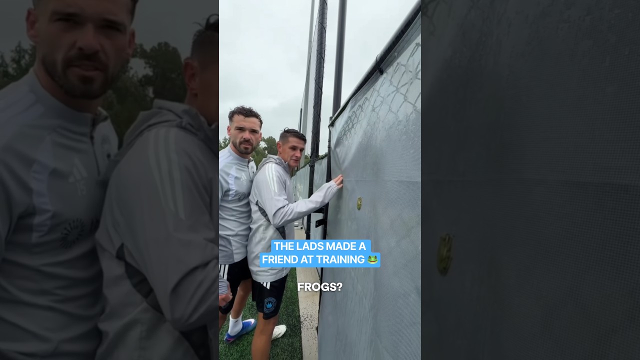 hey there lil buddy 🥹 #charlottefc #mls #soccer #soccerplayer #frog